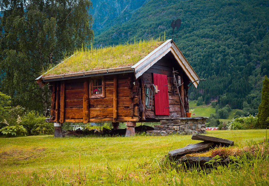 被草包围的北欧小屋