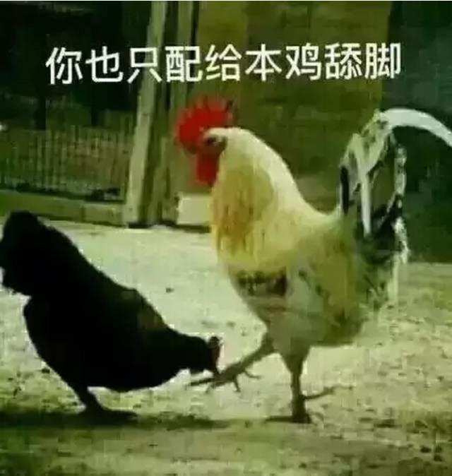 【搞笑】西藏小伙伴!鸡年就是要用鸡年表情包,拿走不