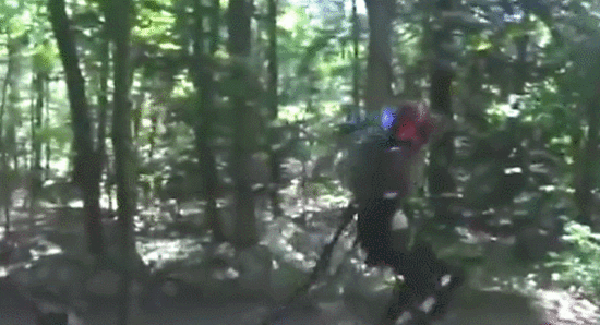 画面恐怖!谷歌树林里遛机器人:吓呆遛狗女子