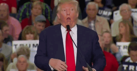 480_250 gif 动态图 动图