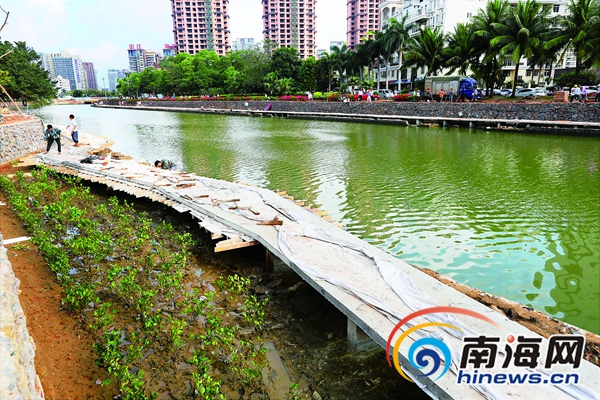 海口200名市民"检验"美舍河治理 惊喜点赞:干净了