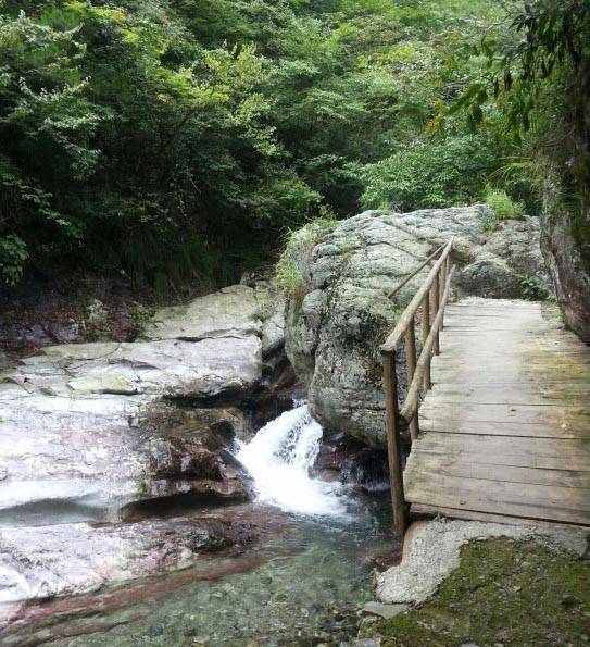 仙寓山坐落在石台县境内,位于石台,东至,祁门三县交界处,主峰海拔