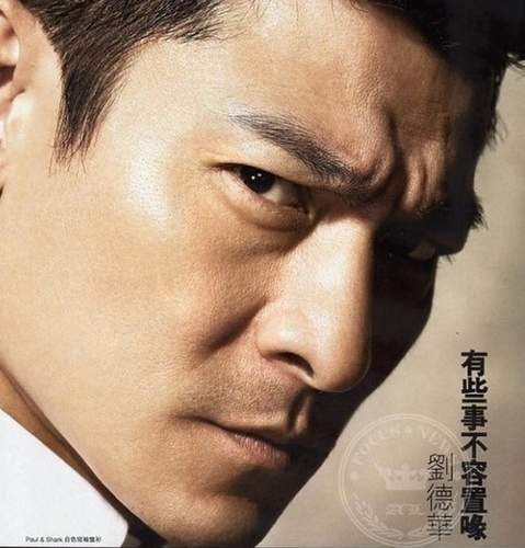 刘德华的江湖恩怨记——三个女人和七个男人