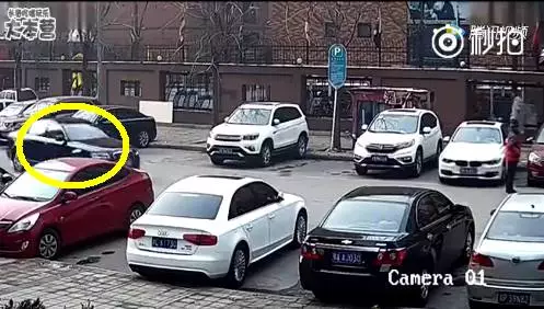 被宝马女司机蠢哭!倒车半天不成 撞车一气呵成