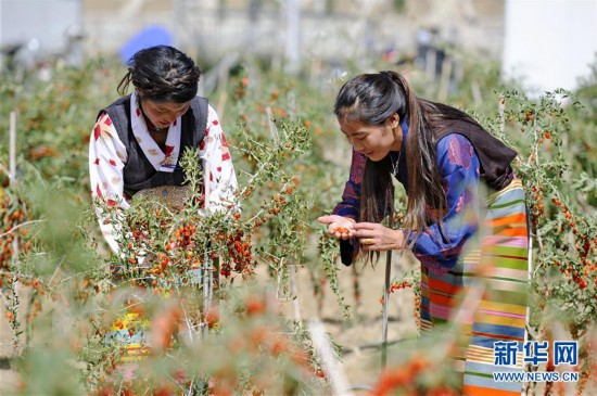 (新华全媒头条·两会特别报道·图文互动)(7)在推进高质量发展中创造广阔空间——从全国两会看奋进中国的发展机遇