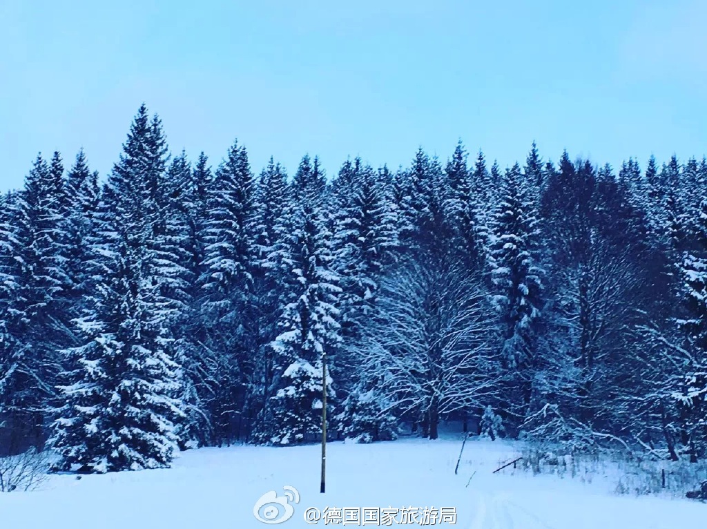 德国滑雪圣地绍因斯兰 黑森林中的美丽景色(图)