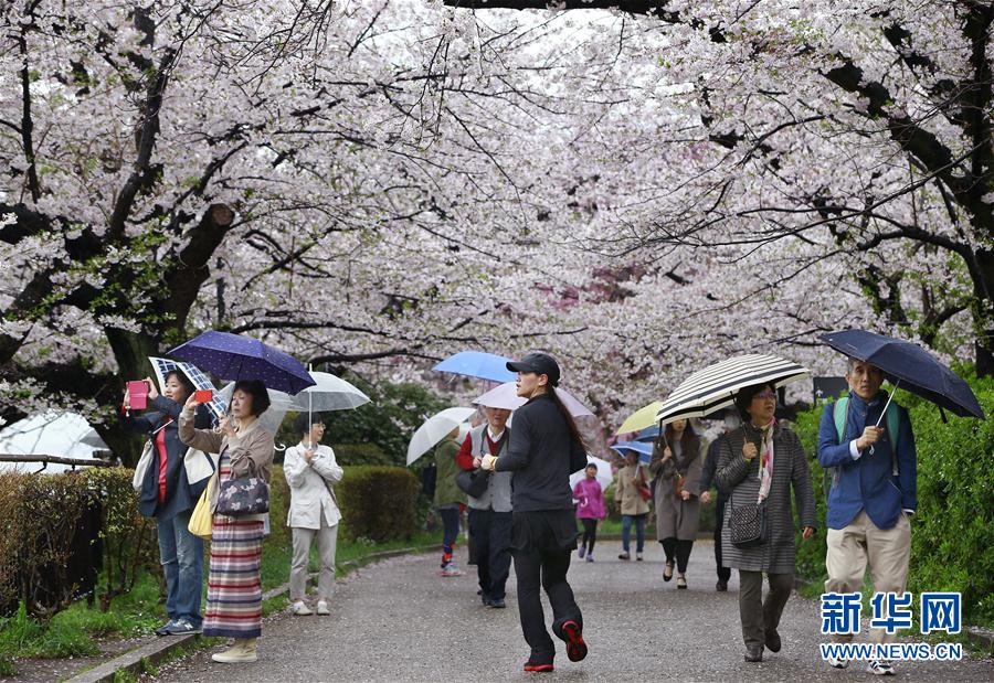 4月9日,人们在日本东京千鸟渊公园观赏樱花.新华社/美联