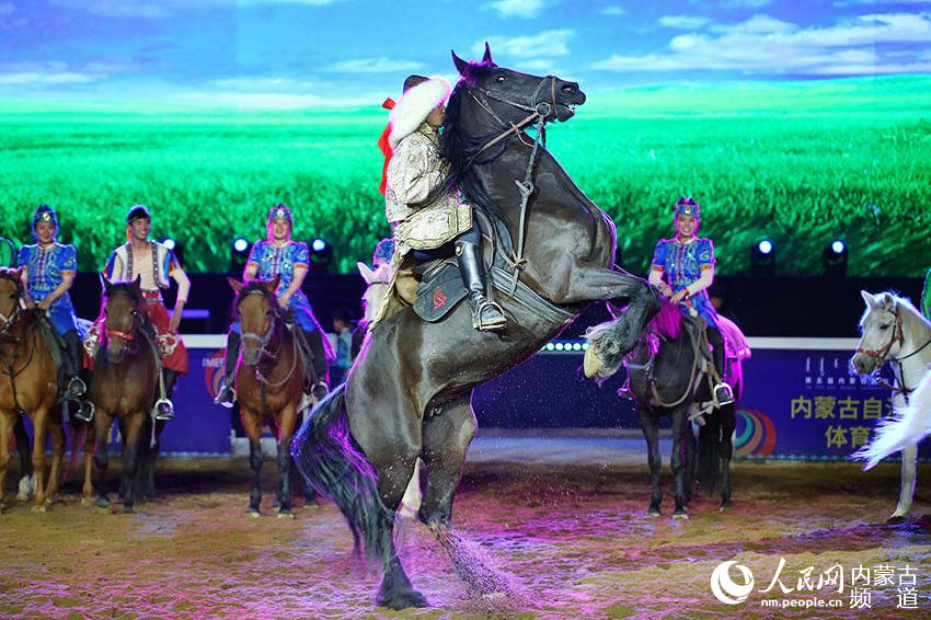 "马王争霸"——第五届内蒙古国际马术节开幕