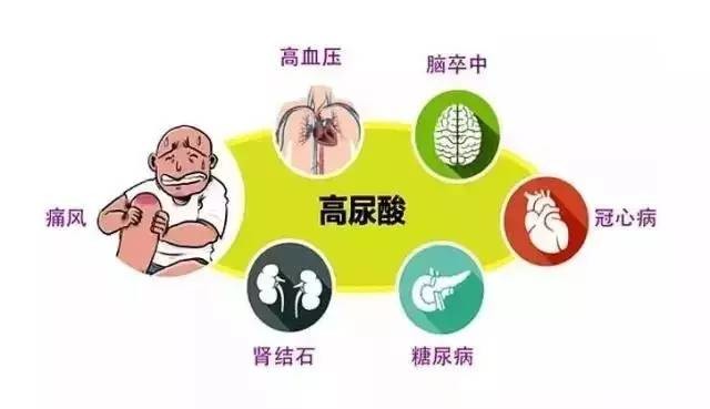 "三高"之外的"第四高",让1.7亿人